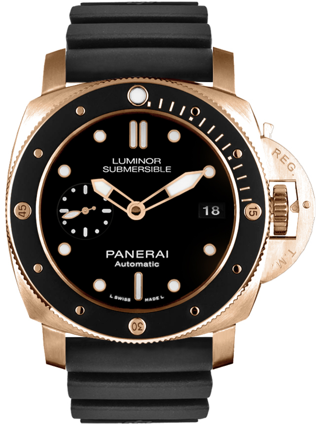 PAM00684