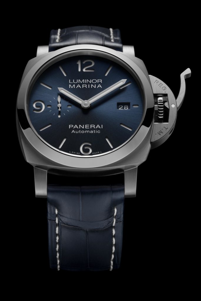 PAM01313